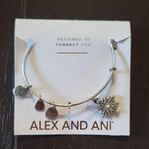 Alex and Ani Star Charm Bangle